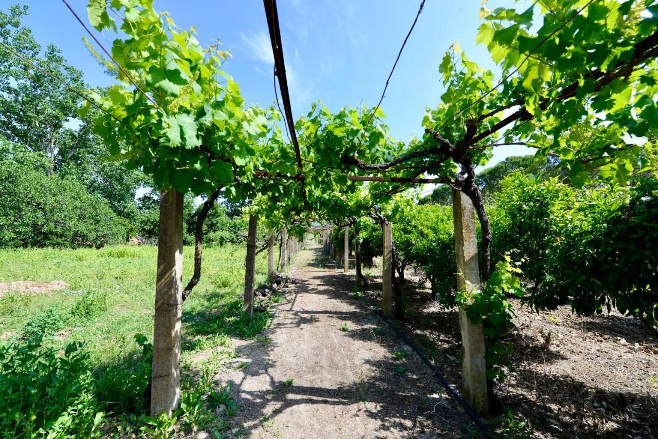 Quinta Da Barreira Villa A-da-Rainha Eksteriør bilde